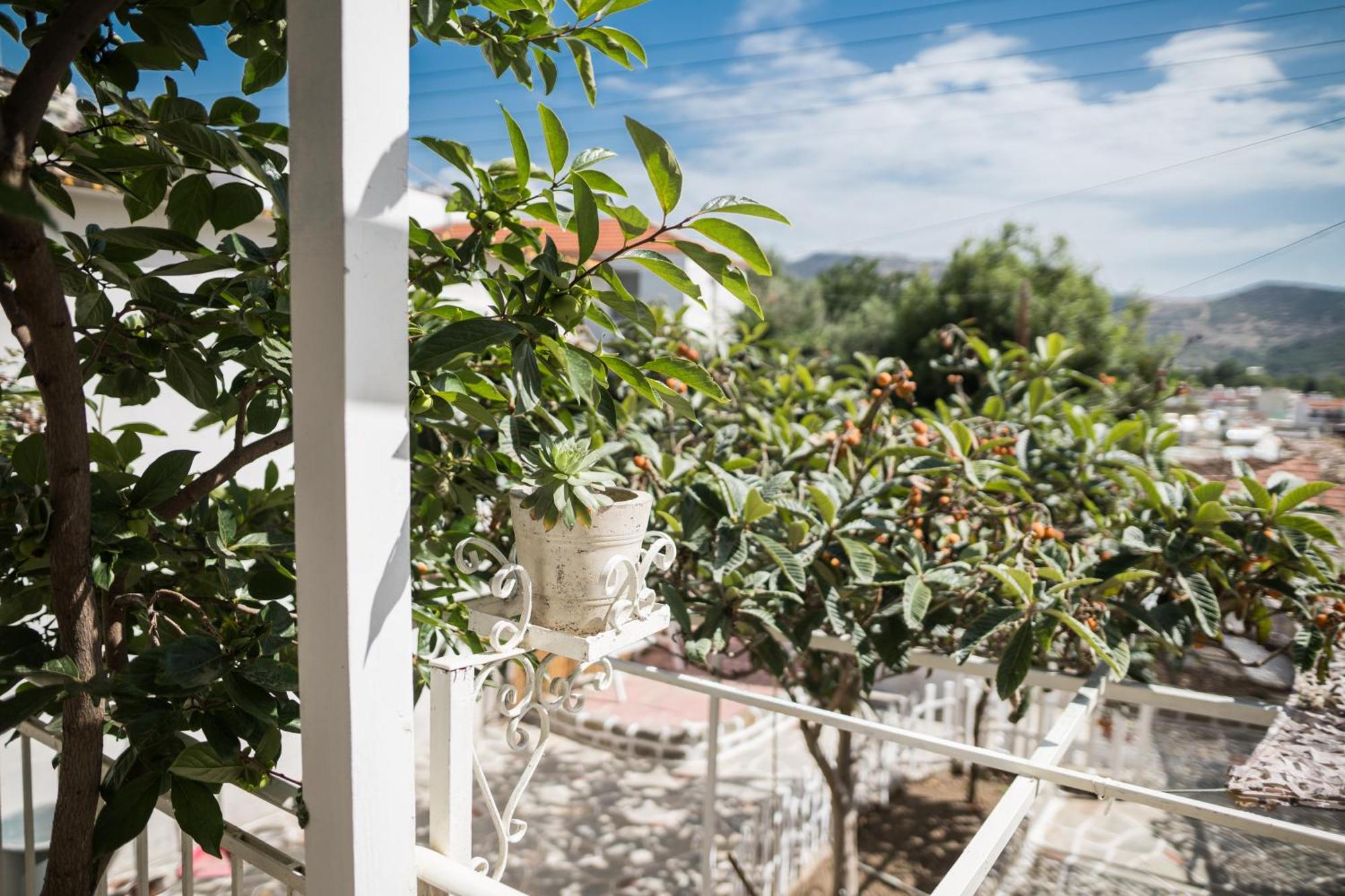 דירות קאבאלה The Garden House מראה חיצוני תמונה